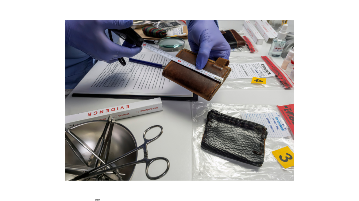Medical student engaging in evidence-based learning for healthcare education