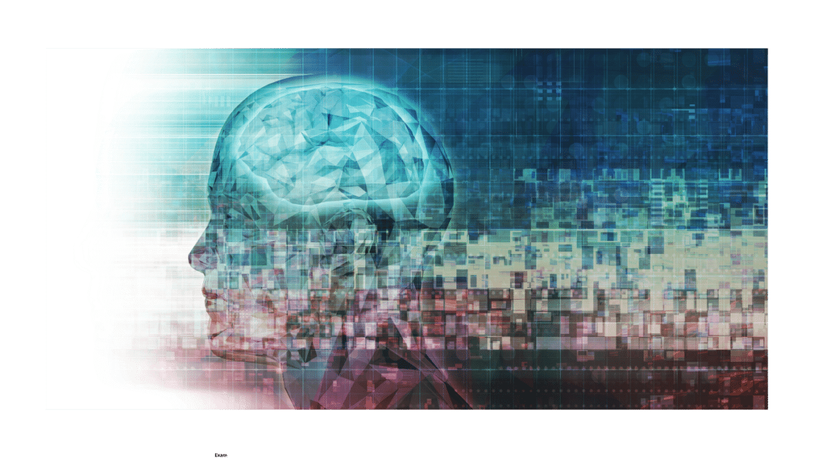 cognitive neuroscience - an overview